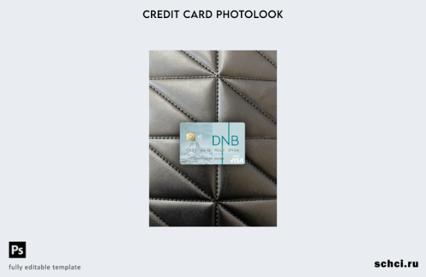 цифровая загрузка Литва DNB Bank Visa дебетовая карта фотообраз переднего шаблон